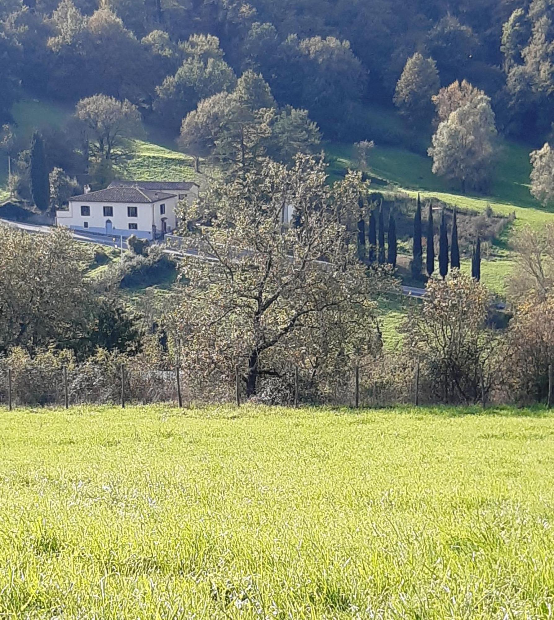 Villa Casa Al Miglio Pratolino Exterior foto